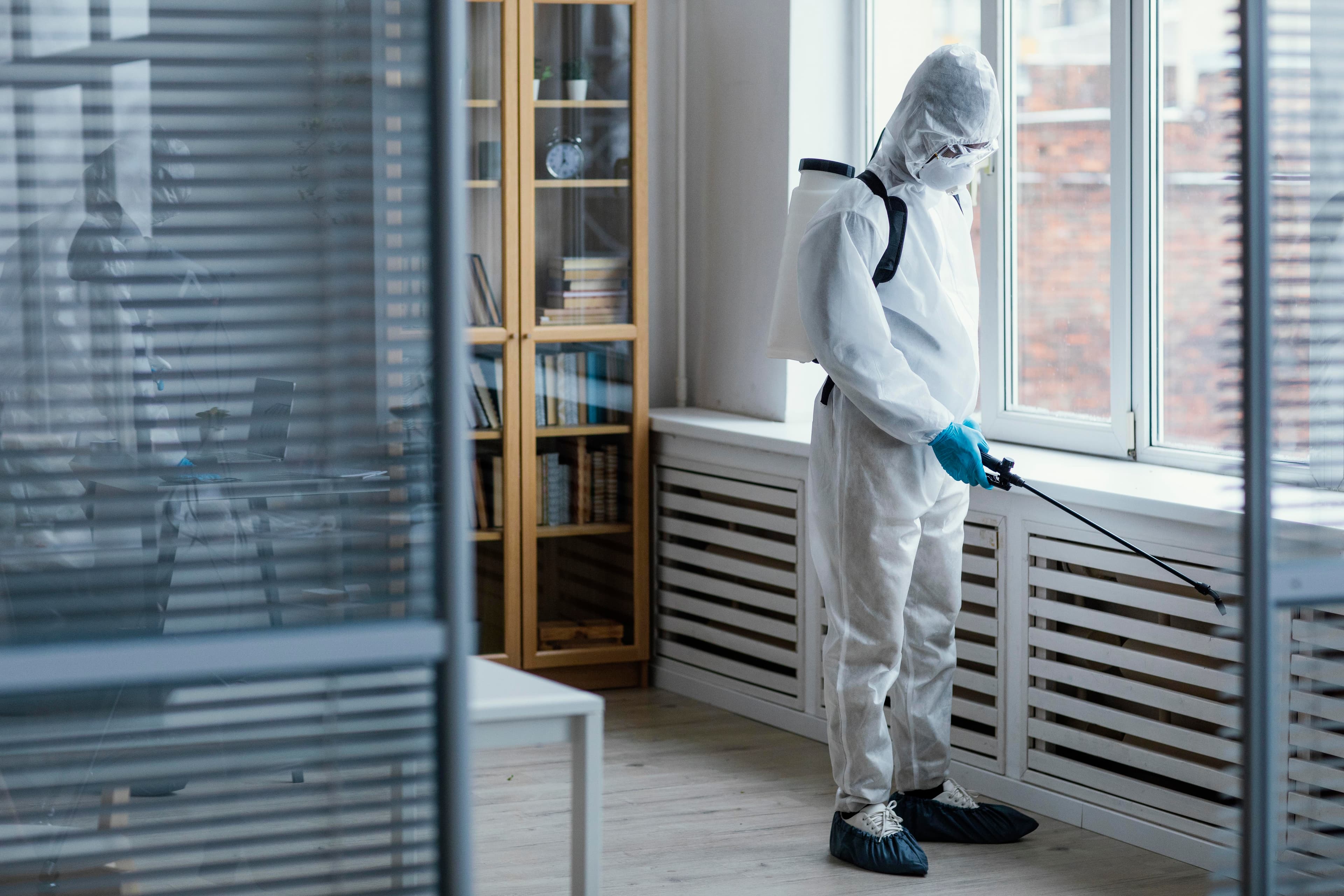 Mold Remediation